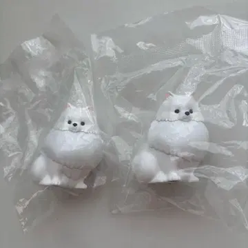 산책 포메 라이트