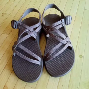 Chaco 그레이 W8 24cm 상당 스포츠 샌들