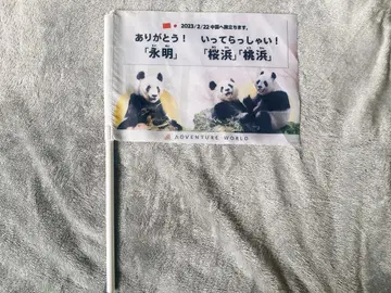 어드벤처 월드 팬더 기념 플래그 깃발