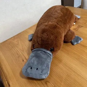오리너구리 봉제 인형