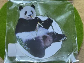 어드벤처 월드 한정판 요하마 아크릴 스탠드 고마워요 팬더 패밀리