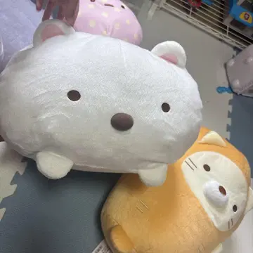 스미코구라시 시로쿠마와 고양이