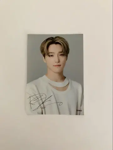 SEVENTEEN 디노 로손 프린트