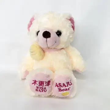 지역 베어  키사라즈 아사리 베어