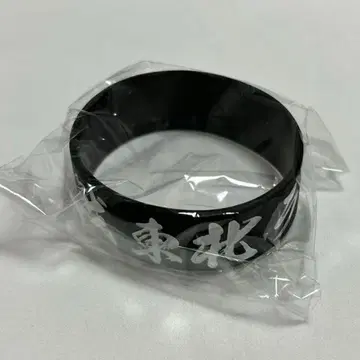 도호쿠 라이브 하우스 대작전 러버 밴드