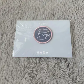SEVENTEEN 세부치 HANA 호시 와펜