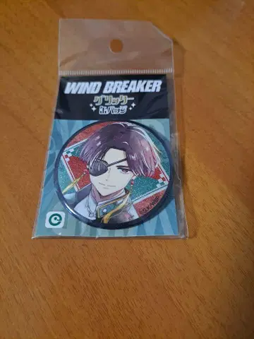 WIND.BREAKER 소방 준히 글리터 캔 배치