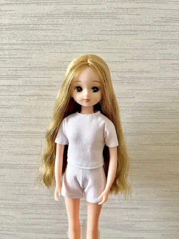순한 모델 리카짱 리카짱 캐슬 중고품 새상품급 상자 없음