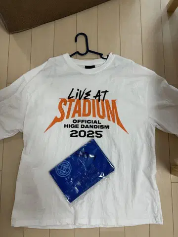Officialdism 2025 스타디움 티셔츠 + 돗자리