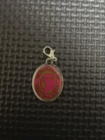 진격의 거인 미카사 메탈 참