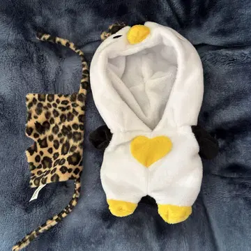 이프니(주노)