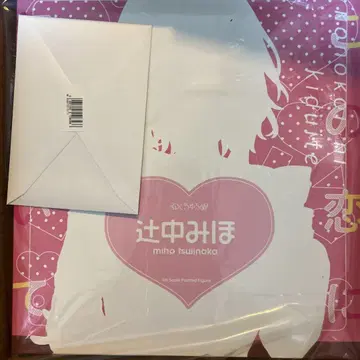 피규어  츠지 나카 미호