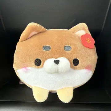 모치후와코로코로냥코 현지 가고시마 사츠마이누완