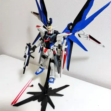 MG 1/100 프리덤 건담
