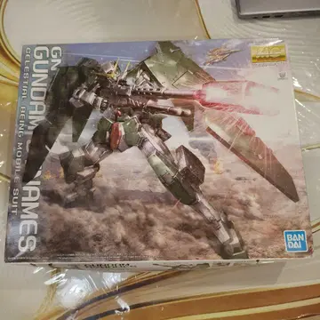 Gundam Dynames MG 1/100 반다이
