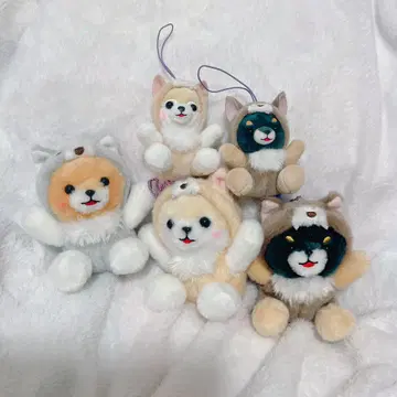 콩 세 형제 유루구루미 늑대 5개 세트