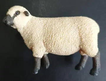 [특가 상품] [단종 상품] Schleich 숏프셔 양