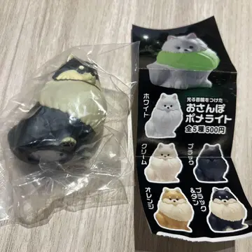 빛나는 목걸이를 한 산책용 포메 라이트 블랙 & 탄