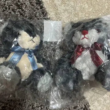 니지산지 니지 베어 카노 쿠츠하