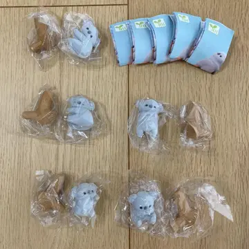 베비코아라 BABY KOALA 에일 풀 컴플리트 전 5종 세트 에일