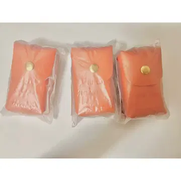 파라라이 립 케이스 감옥 Luck 3개