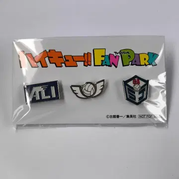 하이큐!! 팬 파크 정기 구독자 선행 한정판 오리지널 핀즈