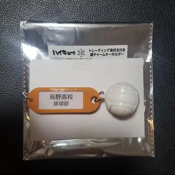 하이큐 열쇠 참 키링 카라스노 고교