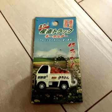 미사용/에히메 한정판/달려라! 직송 트랙 풀백 카 이요칸 Ver
