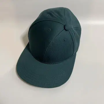 bluebooksco cap 미사용