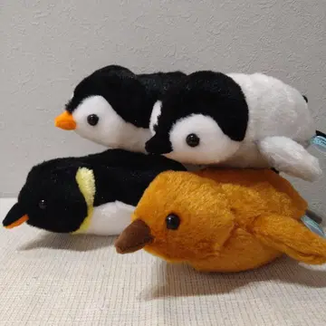 Penguin Isrand 펭귄 아일랜드 수영 컴플리트