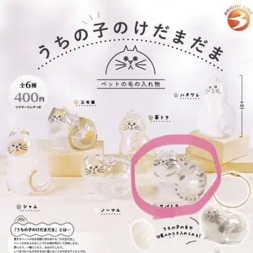 우리 아이의 털 뭉치, 사바트라