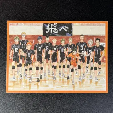 하이큐 팬 파크 엽서 카라스노 고교