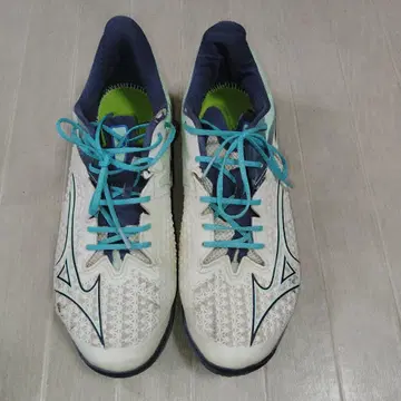 미즈노 Mizuno WAVE EXCEED TOUR 6 29.5cm