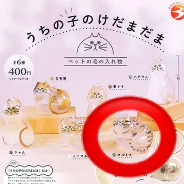 우리 아이의 털 고양이 사바트라 가챠 반려동물의 털 반려동물의 털 보관함