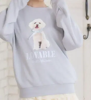 새상품 개 dog 리본 트레이닝복