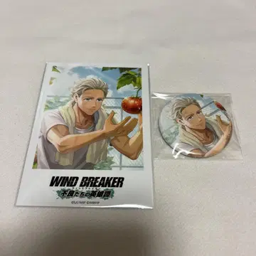 WIND BREAKER 윈히로 트레이딩 캔뱃지 우메미야 이치