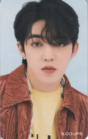 SEVENTEEN 혼자가 아니야 S.COUPS 트레이딩 카드