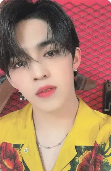 SEVENTEEN 혼자가 아니야 S.COUPS 트레이딩 카드