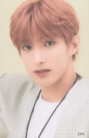 SEVENTEEN 혼자가 아니야 DK 트레이딩 카드