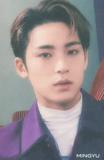 SEVENTEEN 혼자가 아니야 MINGYU 트레이딩 카드