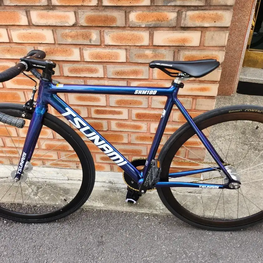 TSUNAMI SNM100 Chameleon 55CM　フレーム Chameleon Frame TSUNAMI SNM100 Fixie Frame Single Speed
