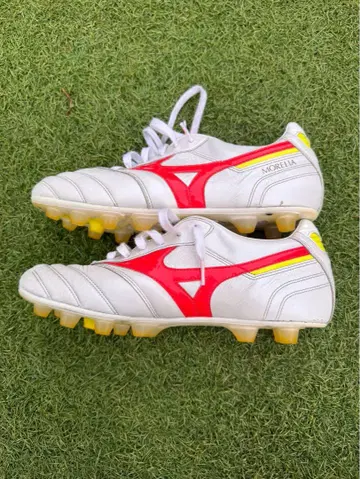 MIZUNO/모레리아 2 JAPAN