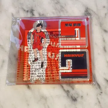 하이큐 팬 파크 아크릴 X 피규어 컬렉션 검은 꼬리