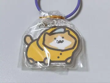 문구와 함께 새끼 고양이 gigo 한정판 아크링 키링
