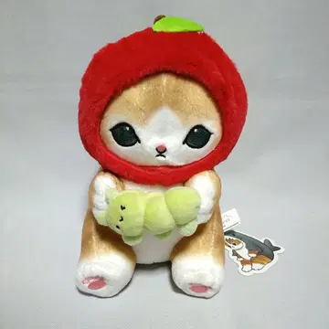 대만 mofusand 사과냥