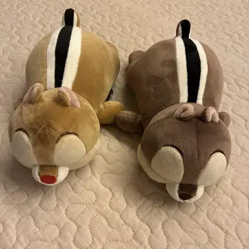 칩 데일 모치하그