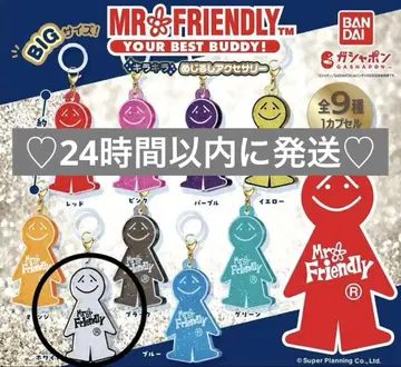 MR.FRIENDLY 미스터 프렌드 가챠가챠 메지루시 액세서리