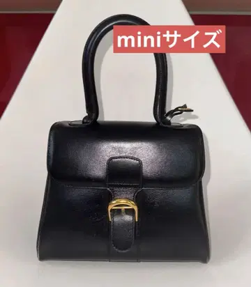 델보 블랙 브리옹 미니