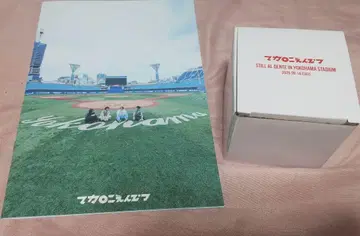 마카로니 연필 10주년 기념 혜택 요코하마 스타디움 팜플렛 사인 공