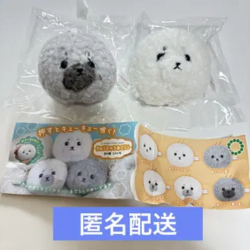 큐큐아자라시 블랙, 화이트